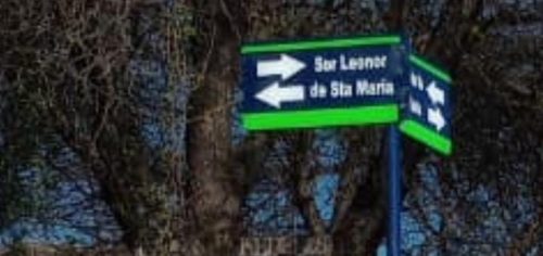 cartel_sor_leonor_sanogasta